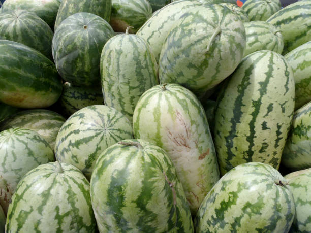 istock Pile of Watermelon 1264577879