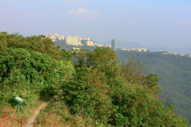 istock 11 oct 2008  the Mount High West at hong kong 1264584079