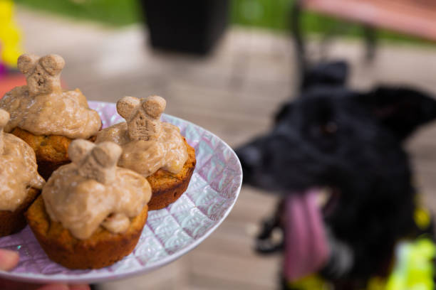 istock Pup-cakes for dogs at a party 1264584292