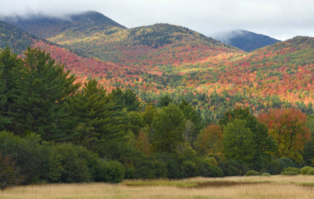 octubre en el adirondack - adirondack mountains fotografías e imágenes de stock