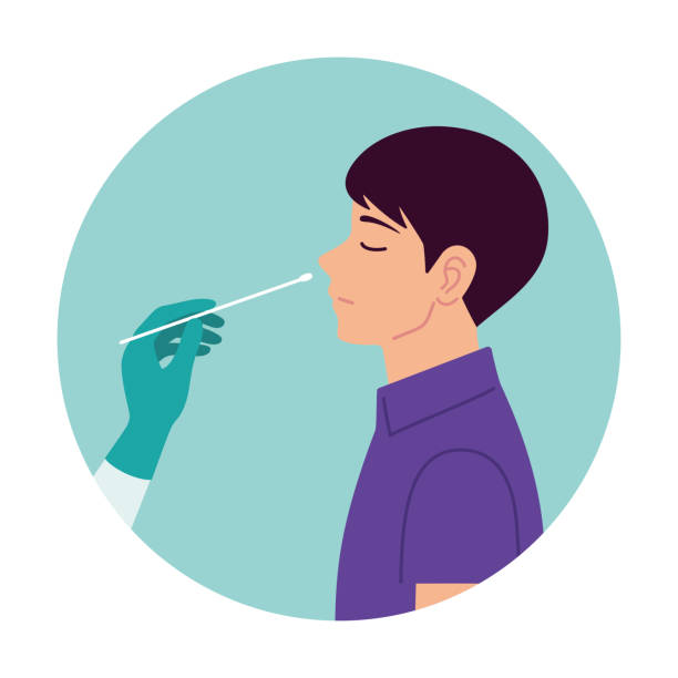 Nasal swab laboratory test,Study of patients stock illustration, Medical Test, Nose, Scientific Experiment, Cotton Swab, Virus Nasal swab test. Diagnosis of corona virus. A doctor wearing medical gloves conducts the analysis from the person's nose. Hospital lab. A person expresses a test. Flat vector. research facility exterior stock illustrations