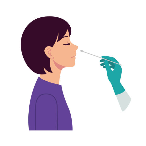 Nasal swab laboratory test,Study of patients stock illustration, Medical Test, Nose, Scientific Experiment, Cotton Swab, Virus Nasal swab test. Diagnosis of corona virus. A doctor wearing medical gloves conducts the analysis from the person's nose. Hospital lab. A person expresses a test. Flat vector. research facility exterior stock illustrations