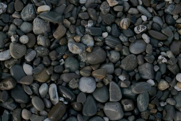 o fundo é de pedrinhas molhadas do mar, na cor cinza, de diferentes tons. - pebble bed - fotografias e filmes do acervo