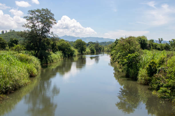 istock River in Tropical Countryside - Philippines 1264590670