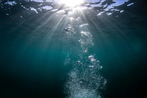 Photo of Bubbles underwater