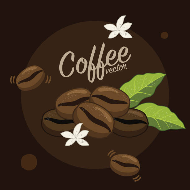 ilustraciones, imágenes clip art, dibujos animados e iconos de stock de plantación de árbol de café gráfico vectorial, rama, hoja, frijol. - menu bean brown caffeine