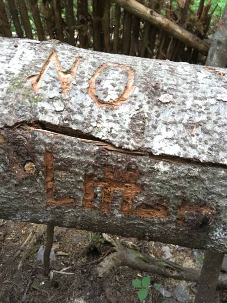istock No litter warning carved in a tree. 1264596990