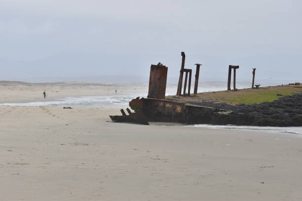 istock A shipwrecked dredging barge on the California coast. 1264602147