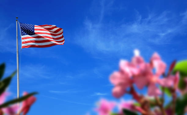 American flag at flagpole and flowers over sunny blue sky Conceptual image of waving American flag at flagpole and flowers over sunny blue sky american flag flowers stock pictures, royalty-free photos & images