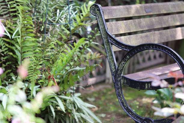 istock Green plants and benches in the garden. 1264605565