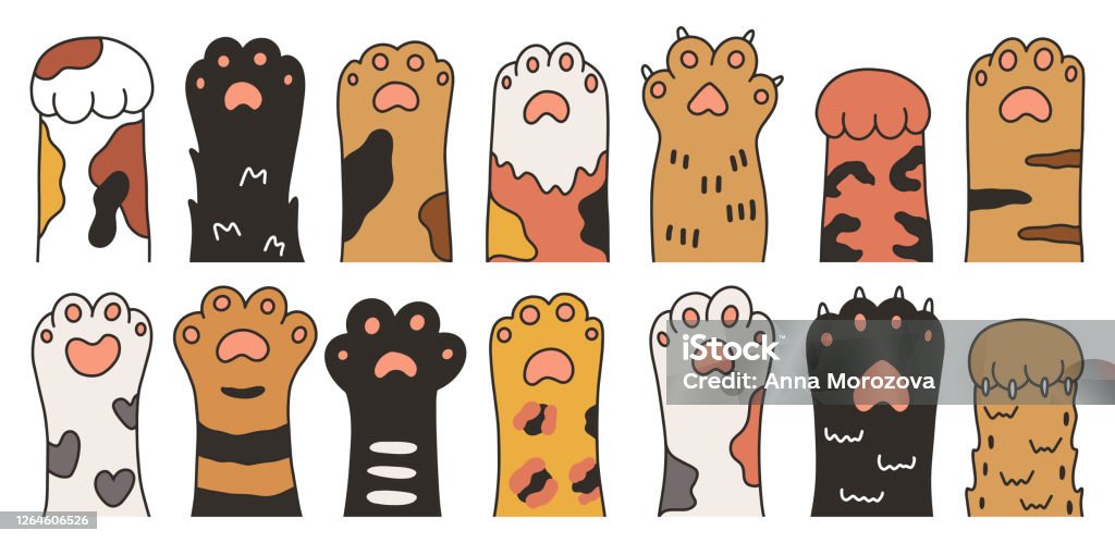 Cute Cartoon Hand Drawn Cat Paws Set Stock Illustration - Download Image  Now - Domestic Cat, Paw, Tiger - iStock