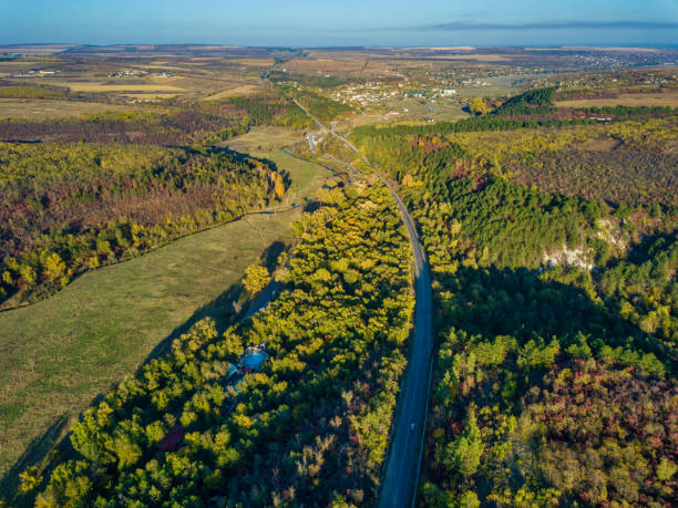 istock Aerial view of colourful forest 1264611850