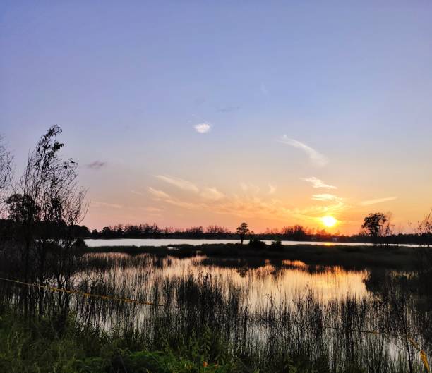 istock sunrise and blue lake on bintan island 1264612859