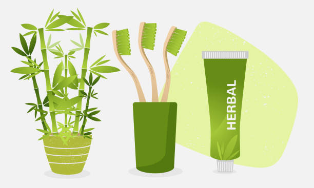 Set of green wooden natural bamboo toothbrushes with toothpaste. vector art illustration