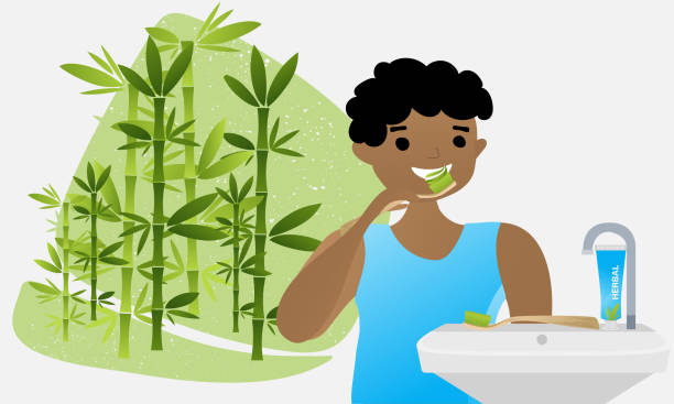 African American man brushing teeth with natural toothpaste and bamboo toothbrush. Bamboo plant in the background. Dental health concept illustration. Flat vector. black man brushing teeth stock illustrations