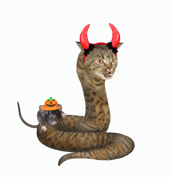 istock Cat snake with red horns 2 1264617074