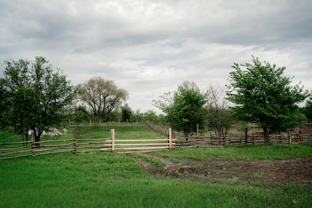 istock farm animals enclosure in summer 1264619013