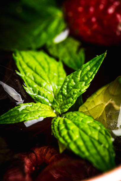 Raspberry and mint cocktail in copper mug (variation of Moscow mule) on the rustic background