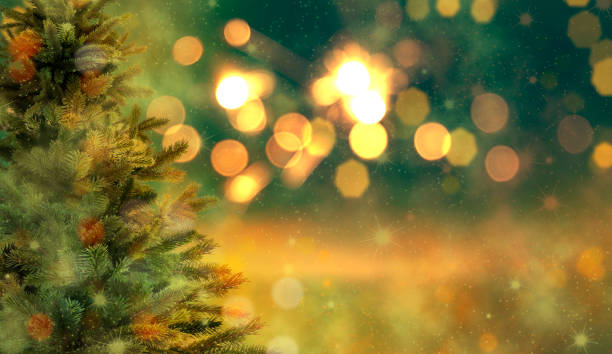 istock Pine tree model toy with beautiful bokeh light in background. 1264622216