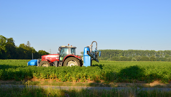 Wilsele, Vlaams-Brabant, Belgium - August 8, 2020: Tractor spraying water or a liquid on the field. Farmer driving on the farmland spraying some liquid or water on the potato leave.