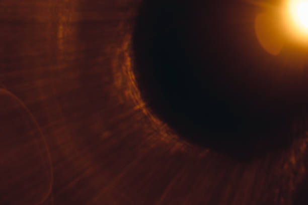 istock Abstract Natural Sun flare on the black 1264623731