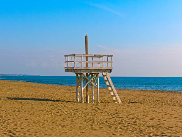 istock a sandy beach with a wooden tower for lifeguards 1264625112