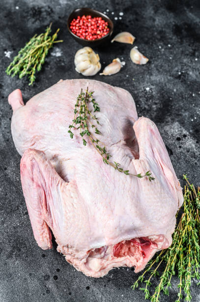 istock Raw free range goose with spices ready to cook. dark background. Top view 1264625157
