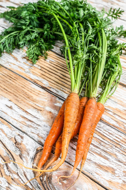 istock Freshly dug fresh carrots. White background. Top view 1264625515