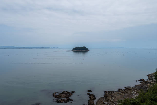 jindo vue sur l’océan d’été - île de jindo photos photos et images de collection