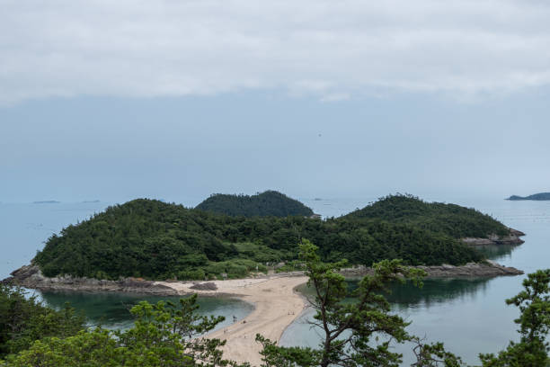 jindo vue sur l’océan d’été - île de jindo photos photos et images de collection
