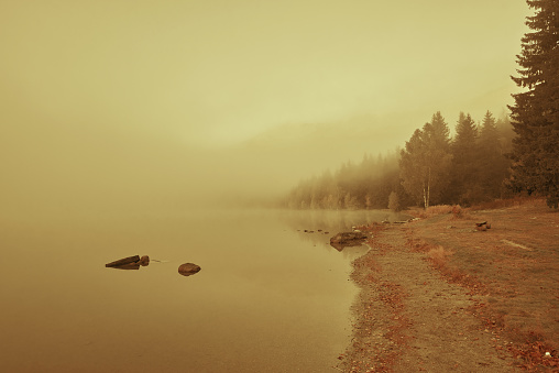 Atmospheric mood at the lake in Romania on the edge of the water