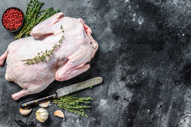 istock Raw free range goose with spices ready to cook. dark background. Top view. Copy space 1264628638