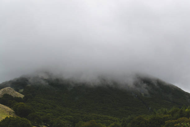 istock Mountain landscape with fog 1264629292