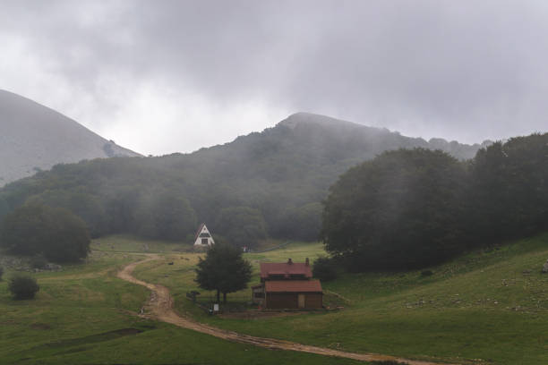istock Lodge mountain in the forest 1264629637