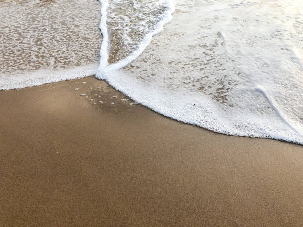 istock waves of sea on a sandy beach 1264632496