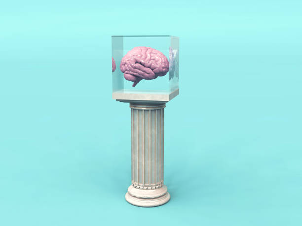 istock Human brain in a cube glass on column . Brilliant mind ideas concept . This is a 3d render illustration . 1264633811