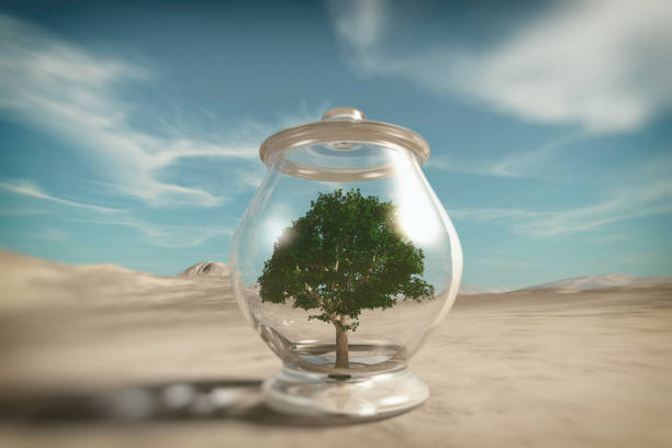 istock Tree inside a bowl in the desert . Global warming concept . This is a 3d render illustration 1264634429
