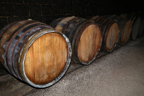istock Rows of oak wood wine barrels in winery cellar 1264634650