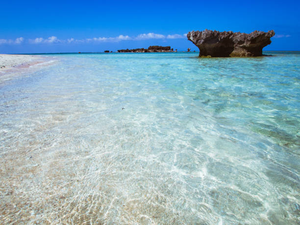istock Beach and shining sea in Hateruma Island 1264636962