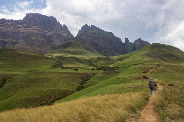 Trail leading towards the Drakensberg Peaks A hiker on a trail leading up towards the Peaks of the Turrent, Sterkhorn and Cathkin Peak, iconic mountains of the Drakensberg Mountains, South Africa drakensberg mountain range stock pictures, royalty-free photos & images