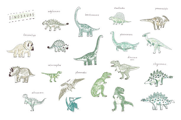 ilustrações de stock, clip art, desenhos animados e ícones de dinosaurs - anquilossauro