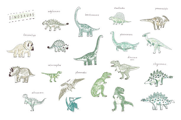 Dinosaurs Once Upon a Time when the dinosaurs were the Kings of the Earth... dinosaur drawing stock illustrations