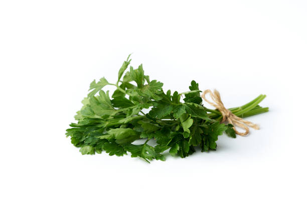 istock A bunch of parsley isolated on a white background 1264645683