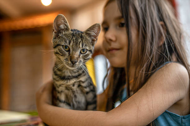 istock Child doing her homework and playing with her pet cat 1264646182
