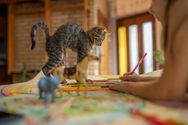 Child doing her homework and playing with her pet cat