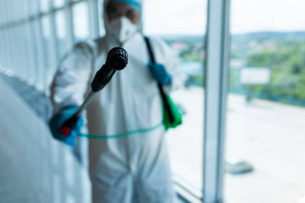 istock Coronavirus Pandemic. A disinfector in a protective suit and mask sprays disinfectants inoffice. Protection against COVID-19 disease. Prevention of spreding pneumonia virus with surfaces. 1264649070