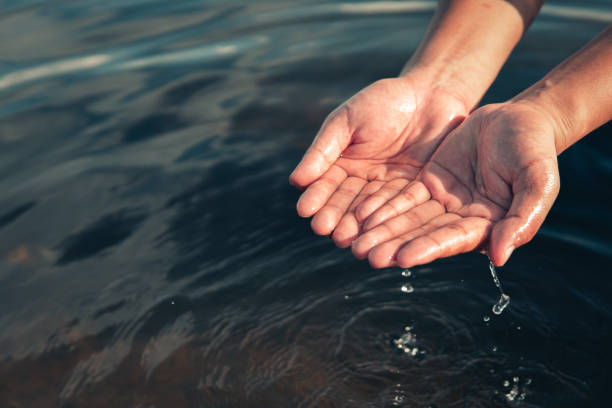 istock High Angle View Of Hands Over Water 1264649222