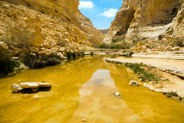 istock The canyon is the most beautiful 1264653681
