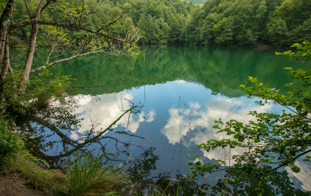 istock Yedigoller (Seven lakes) National Park 1264655043