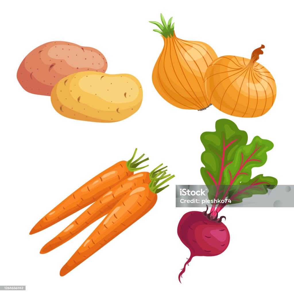 Ilustración de Conjunto De Verduras De Raíz Patata Cebolla Grupos De Zanahoria Y Remolacha Con Verduras Ilustraciones Vectoriales De Diseño Simple De Dibujos Animados Verduras Frescas De Granja Aisladas Sobre Fondo Blanco Ilustración de Conjunto De Verduras De Raíz Patata Cebolla Grupos De Zanahoria Y Remolacha Con Verduras Ilustraciones Vectoriales De Diseño Simple De Dibujos Animados Verduras Frescas De Granja Aisladas Sobre Fondo Blanco
